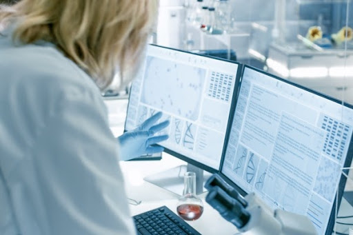 Medical doctor looking at test results.